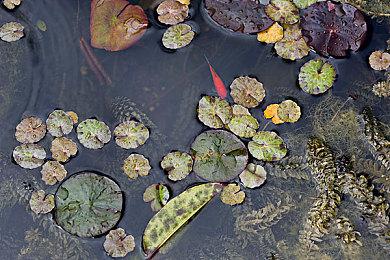 《守望先锋2》玩家数显著增长 暴雪信心更足了